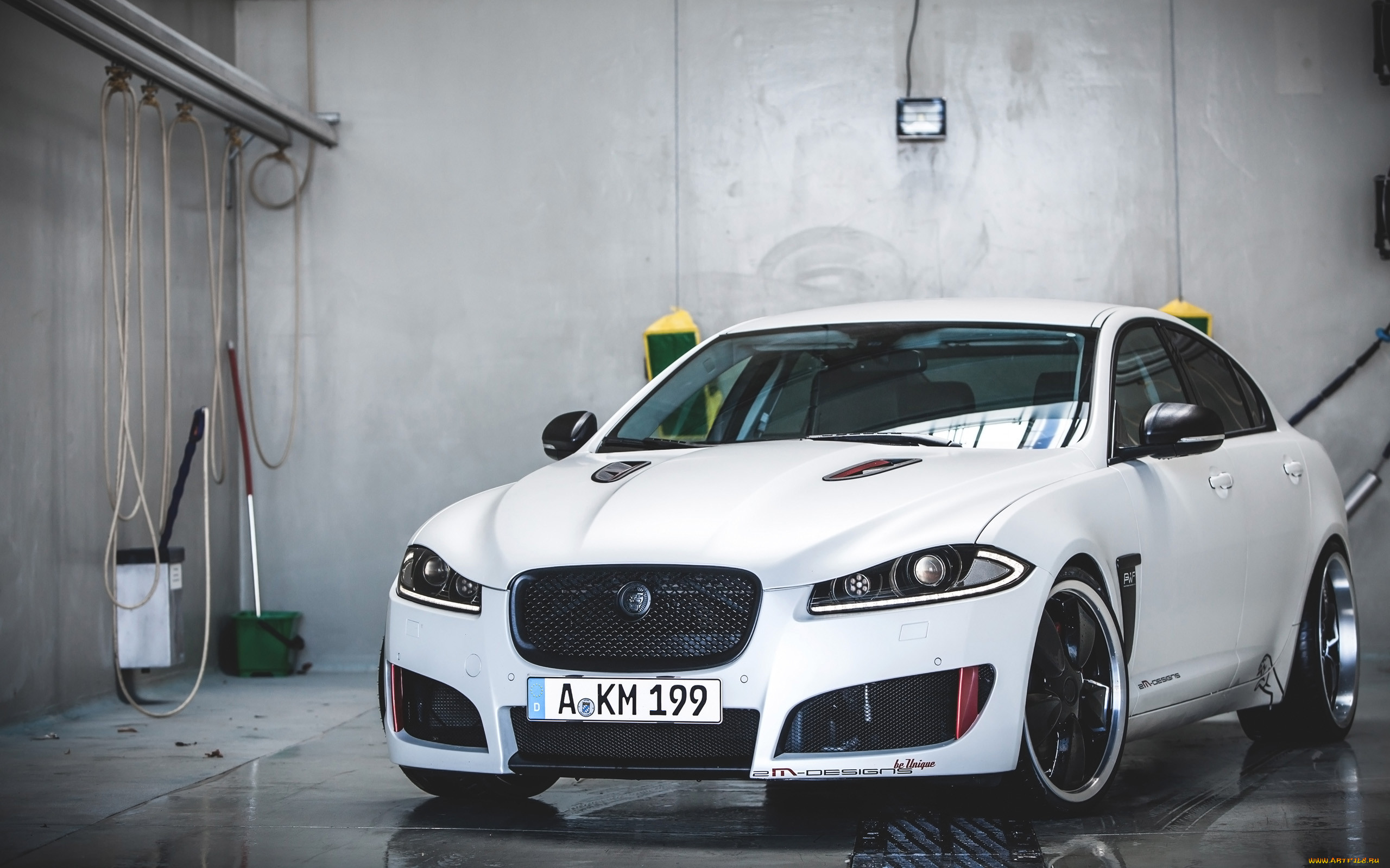 , jaguar